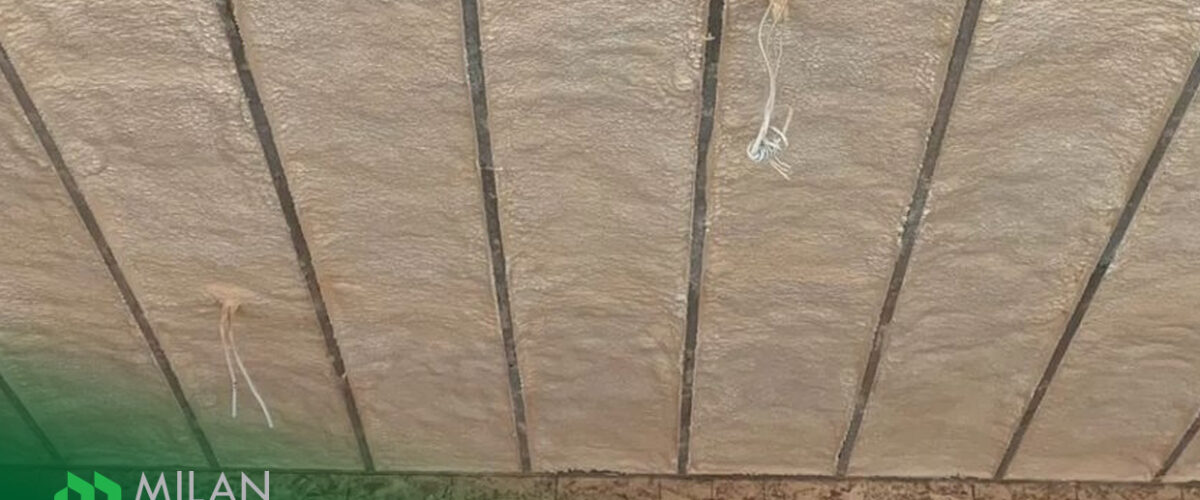 How-Spray-Foam-Improves-Sustainability-in-Scarborough-Homes