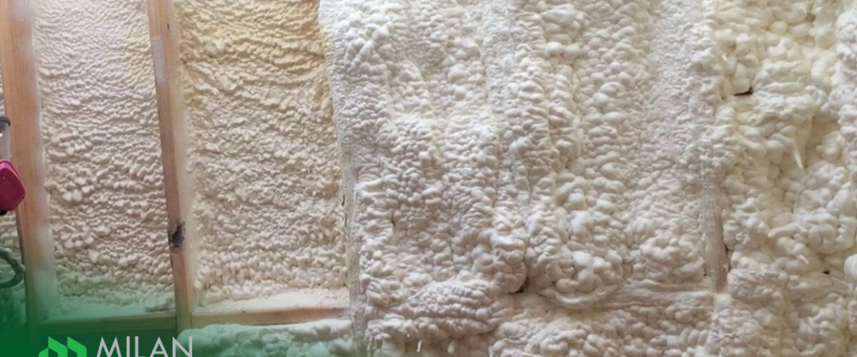 How-Spray-Foam-Prevents-Mold-Growth-in-Oshawa-Properties