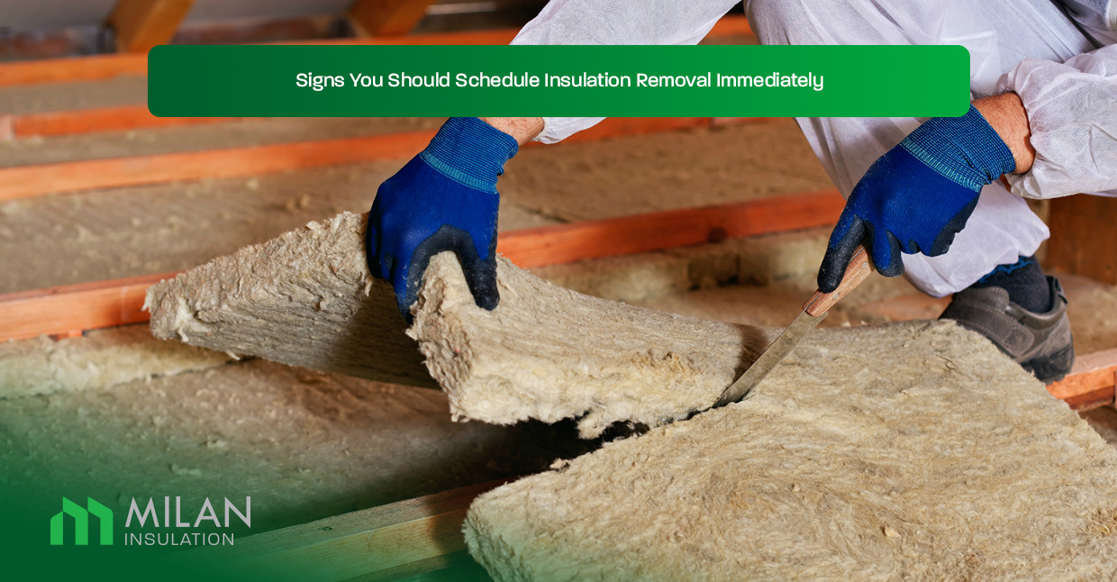 Signs-You-Should-Schedule-Insulation-Removal-Immediately
