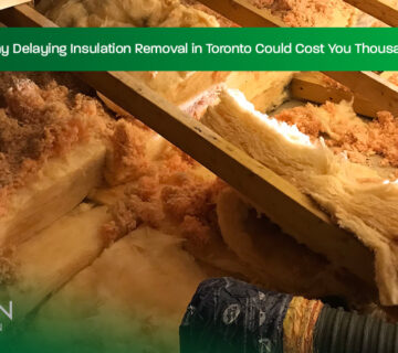 Why-Delaying-Insulation-Removal-in-Toronto-Could-Cost-You-Thousands
